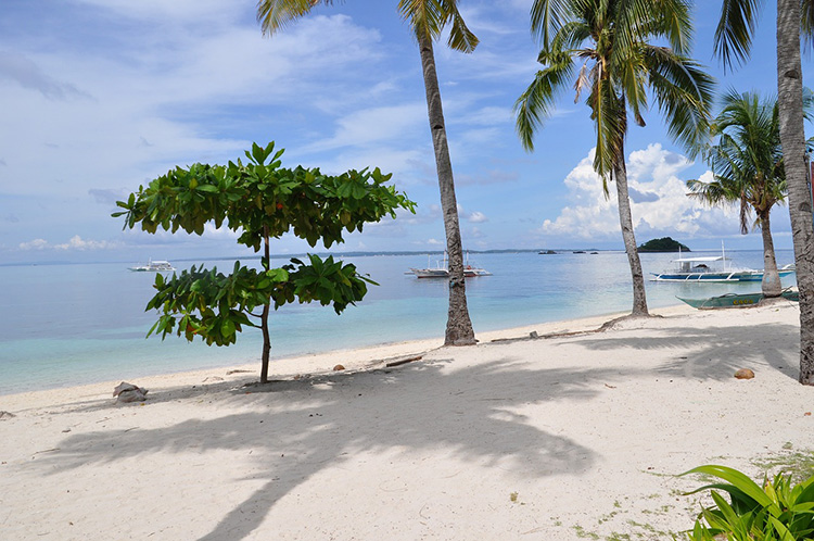 Beaches in Cebu to visit this Summer